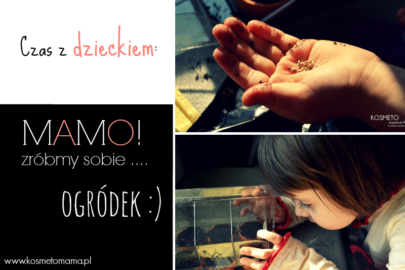 Read more about the article Ogródek w domu. Zasadzi i hoduj roślinki z dzieckiem w domu.